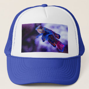 Mandarijne grondelvis trucker pet