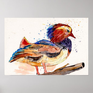 Mandarijneend Aquarel Poster