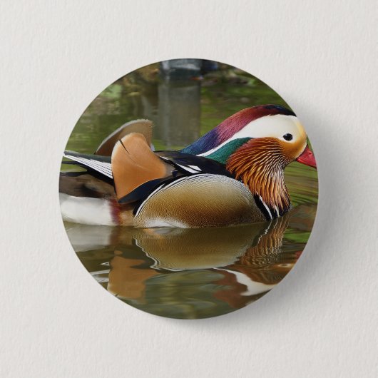 mandarijneend ronde button 5,7 cm (Voorkant)