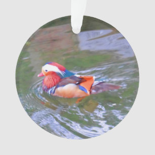 Mandarijns Duck #2 Ornament