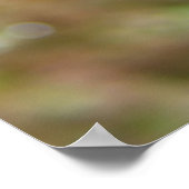 Mandarijns Poster (Hoek)