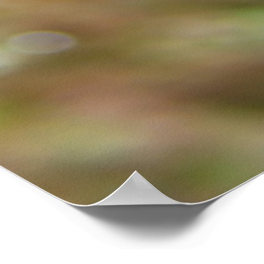 Mandarijns Poster (Hoek)