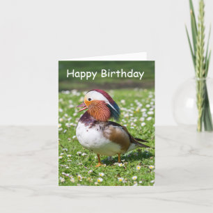 Mandarijnse Duck Birthday Card Kaart
