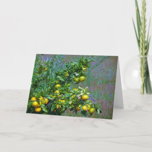 Mandarijnse Oranje boom Kaart (Voorkant)