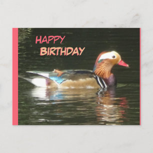 Mandarin Canard Bonne Carte postale Anniversaire