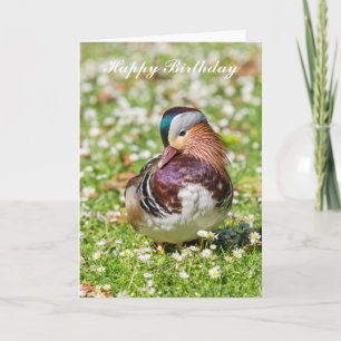 Mandarin Canard Carte d'anniversaire