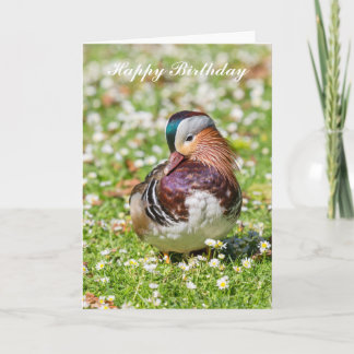 Mandarin Canard Carte d'anniversaire