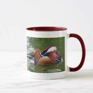 Mandarin de Mok van de Eend