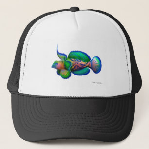 Mandarin Dragonet Fish Trucker Pet