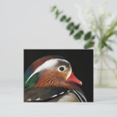 Mandarin Duck Briefkaart (Staand voorkant)