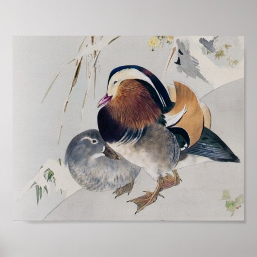 Mandarin Duck Couple, Watanabe Seitei Poster (Voorkant)
