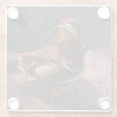 Mandarin Duck Glass Onderzetter (Achterkant)