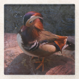 Mandarin Duck Glass Onderzetter Glazen Onderzetter