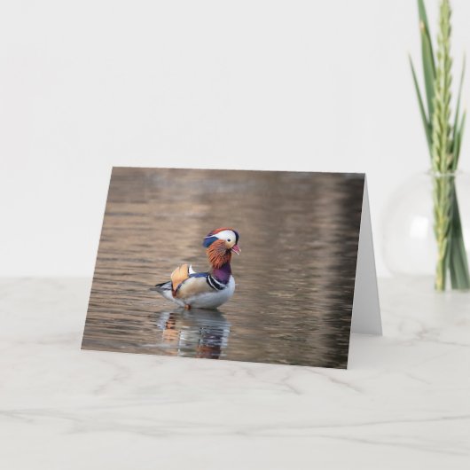 Mandarin Duck Kaart (Voorkant)