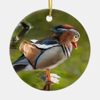 Mandarin Duck Keramisch Ornament