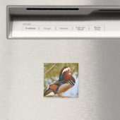 Mandarin Duck Magneet (Insitu (Vaatwasser))