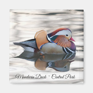 Mandarin Duck Magnet Magneet