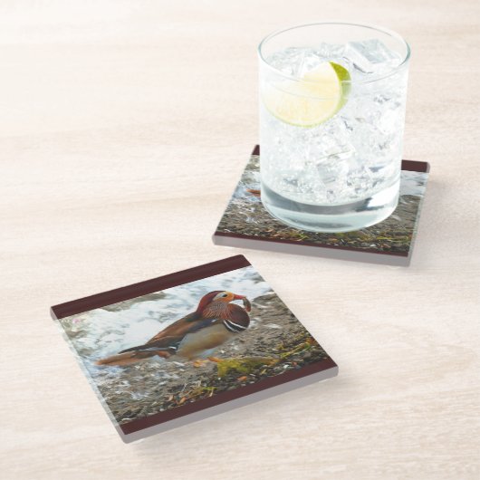 Mandarin Duck met vis bij het meer Glazen Onderzetter (Schuin)
