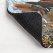 Mandarin Duck met vis bij het meer Muismat (Hoek)