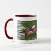 Mandarin Duck Mok (Links)
