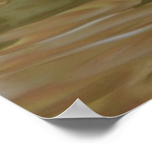 Mandarin Duck Poster (Hoek)