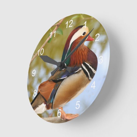 Mandarin Duck Ronde Klok (Hoek)