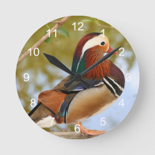 Mandarin Duck Ronde Klok