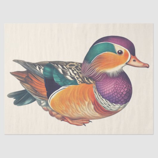 Mandarin Duck Waterverf Decoupage Vogelkunst Tissuepapier (Voorkant)