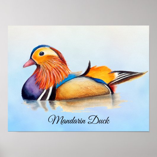 Mandarin Duck Waterverf Poster schilderen (Voorkant)