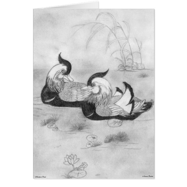 Mandarin Ducks Kaart (Voorkant)