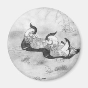 Mandarin Ducks Magnet Magneet