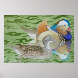 Mandarin Ducks op een meer Poster