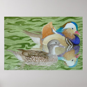 Mandarin Ducks op een meer Poster