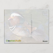 Mandarin Eend Briefkaart (Achterkant)