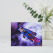 Mandarin Goby Fish Briefkaart (Staand voorkant)