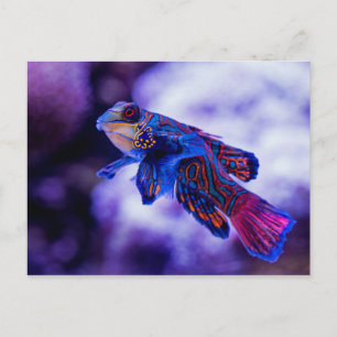 Mandarin Goby Fish Briefkaart