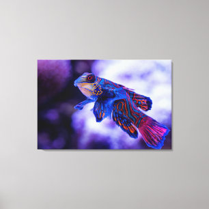 Mandarin Goby Fish Canvas Afdruk