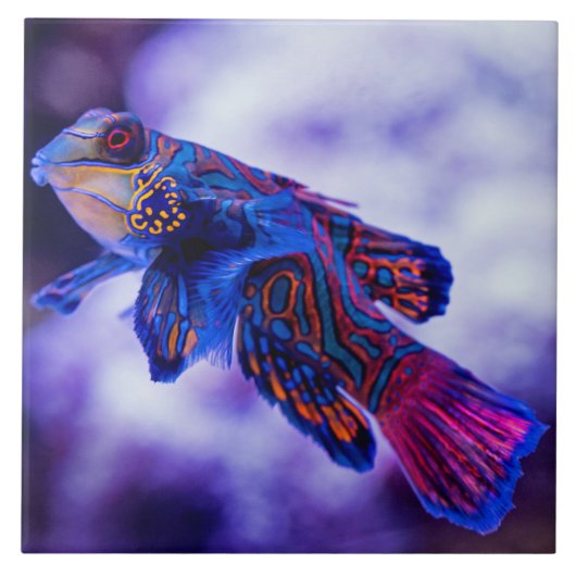 Mandarin Goby Fish Ceramic Tile Tegeltje (Voorkant)
