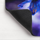 Mandarin Goby Fish Muismat (Hoek)