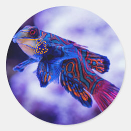 Mandarin Goby Fish Ronde Sticker