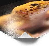 Mandarin Leopard Gecko Foto Afdruk (Hoek)