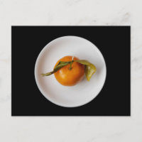Mandarin Oranje portret still life, Zen Unique