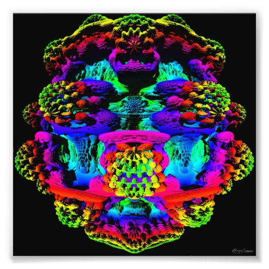 Mandelboldruk 1 foto afdruk (Voorkant)