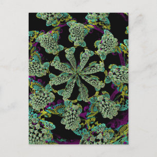 Mandelbulb Fractel 2 Briefkaart