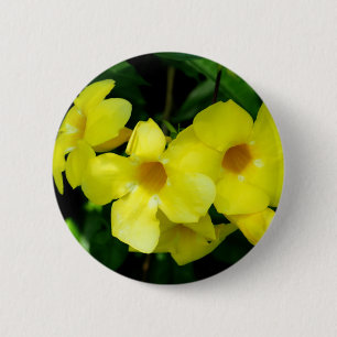 Mandevilla.JPG Ronde Button 5,7 Cm
