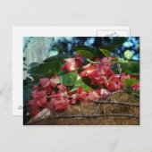 mandje bloemen briefkaart (Voorkant / Achterkant)