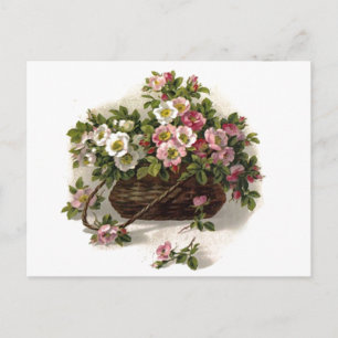 mandje voor wilde Rozen Briefkaart