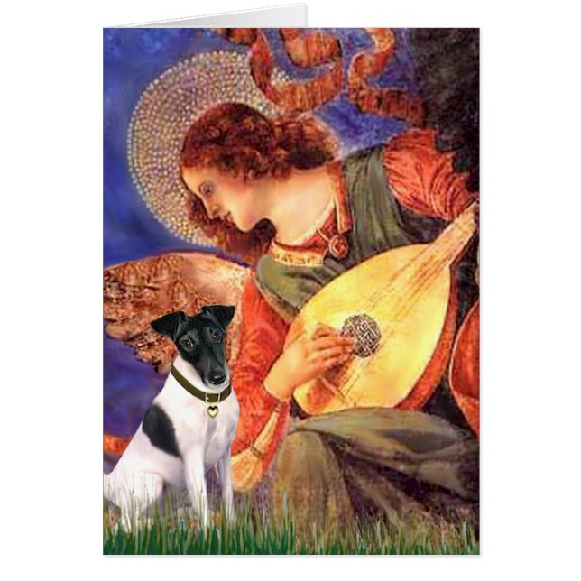 Mandolin Angel - Récit de renard lisse (Devant)