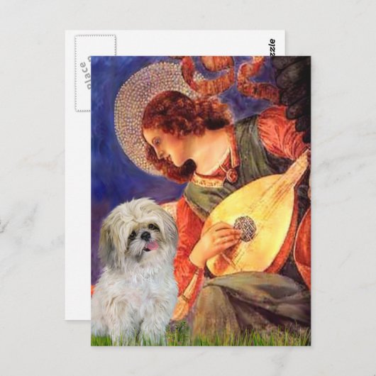 Mandolin Angel - Shih Tzu (P) Briefkaart (Voorkant / Achterkant)
