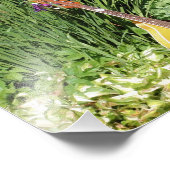 Mandolin en Iris Tuin 10x8 Bloem Foto Afdruk (Hoek)